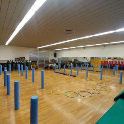 Attivita Motoria Di Base 04